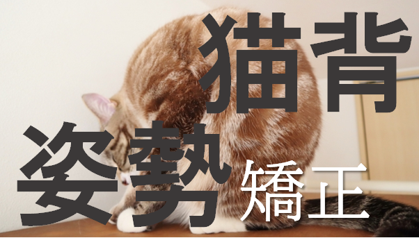 猫背