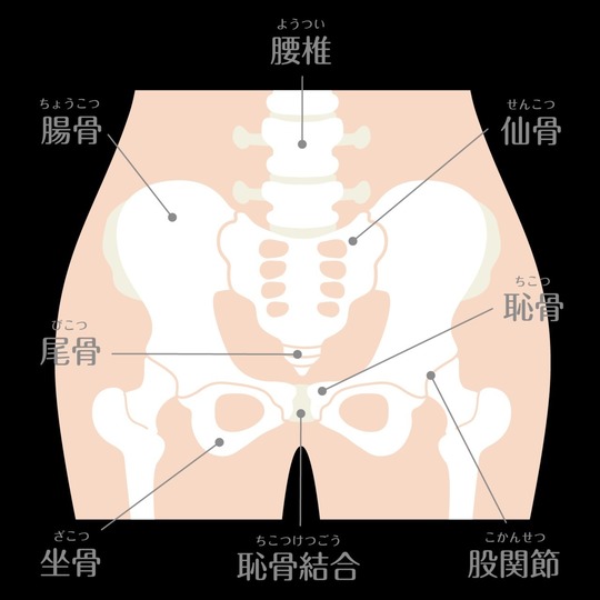 骨盤矯正について
